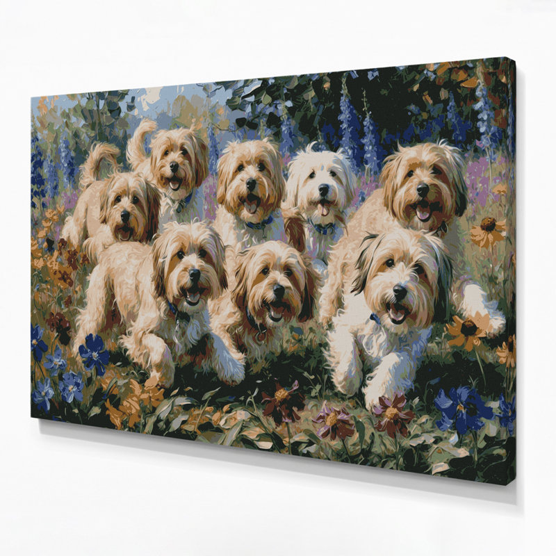 Chiens havanais gris, art mural sur toile, H 20 po x l 24 po