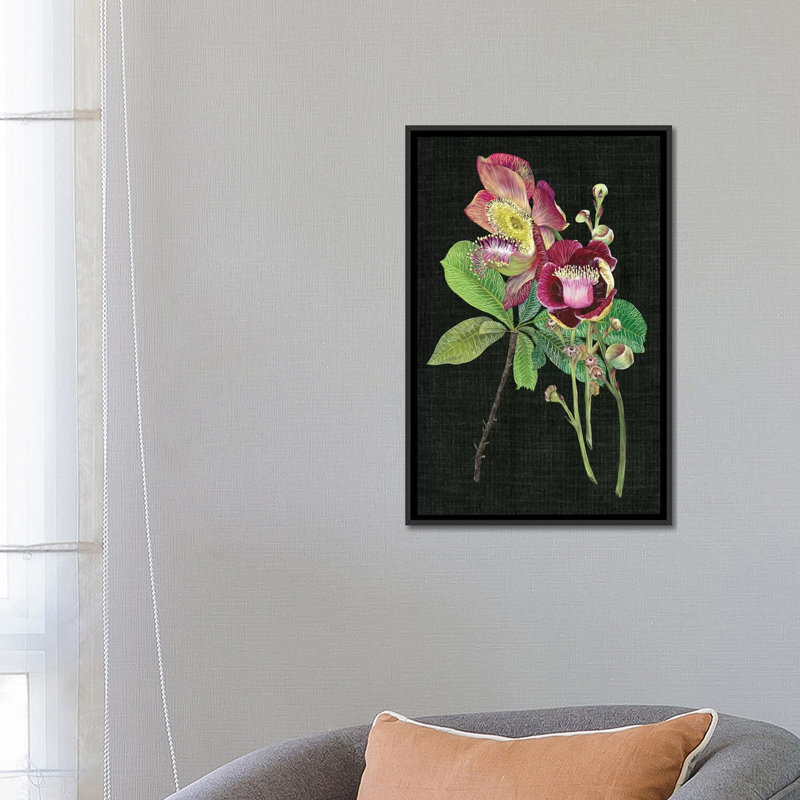 «Couroupita Guianensis II» par Melissa Wang, impression sur toile tendue, H 26 po x l 18 po x P 1,5 po, Toile avec cadre noir