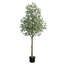 12 pi Eucalyptus artificiel