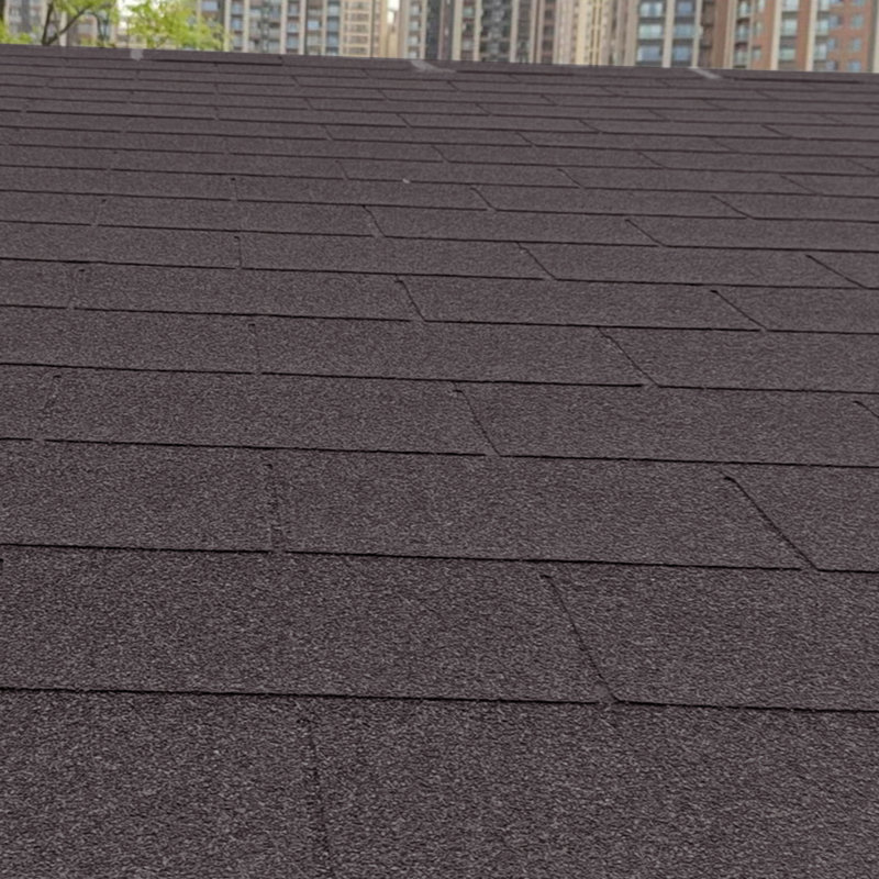 Breeins Rust Resistant Asphalt Roofing Kit