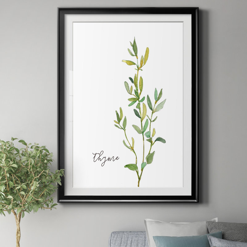 Thym frais - reproduction d'art sur papier encadré, H 30,5 po x l 42,5 po x P 1,5 po, Cadre noir