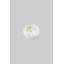Gattilier Flush Mount