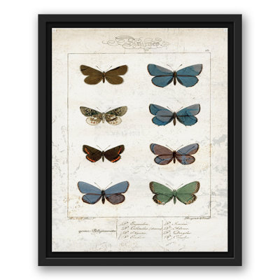 «Butterfly Study», reproduction d'art sur toile