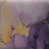 Purple/Gold
