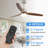 Bobe 52'' Ceiling Fan with LED Lights
