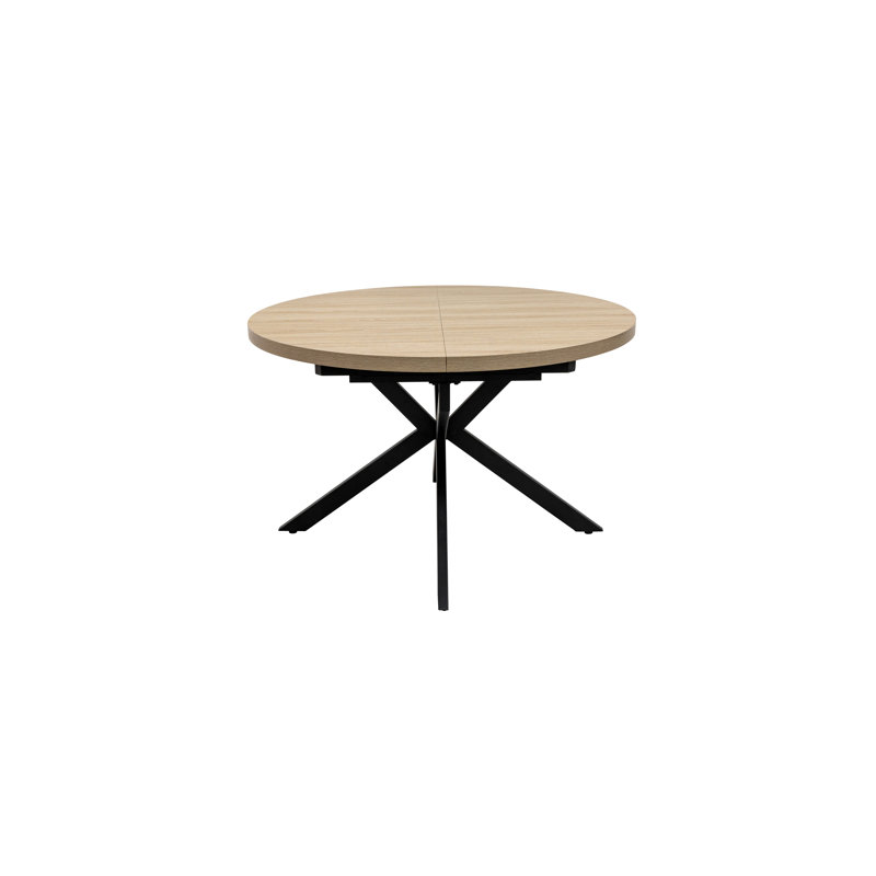 Birt Extendable Metal Base Dining Table
