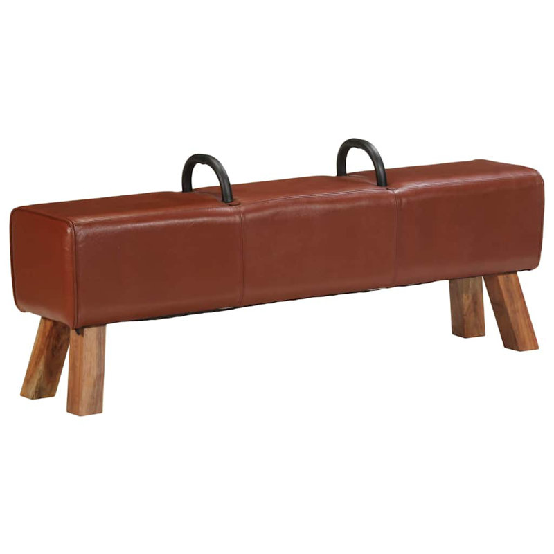 Banc rétro rétro avec poignées en cuir de chèvre véritable