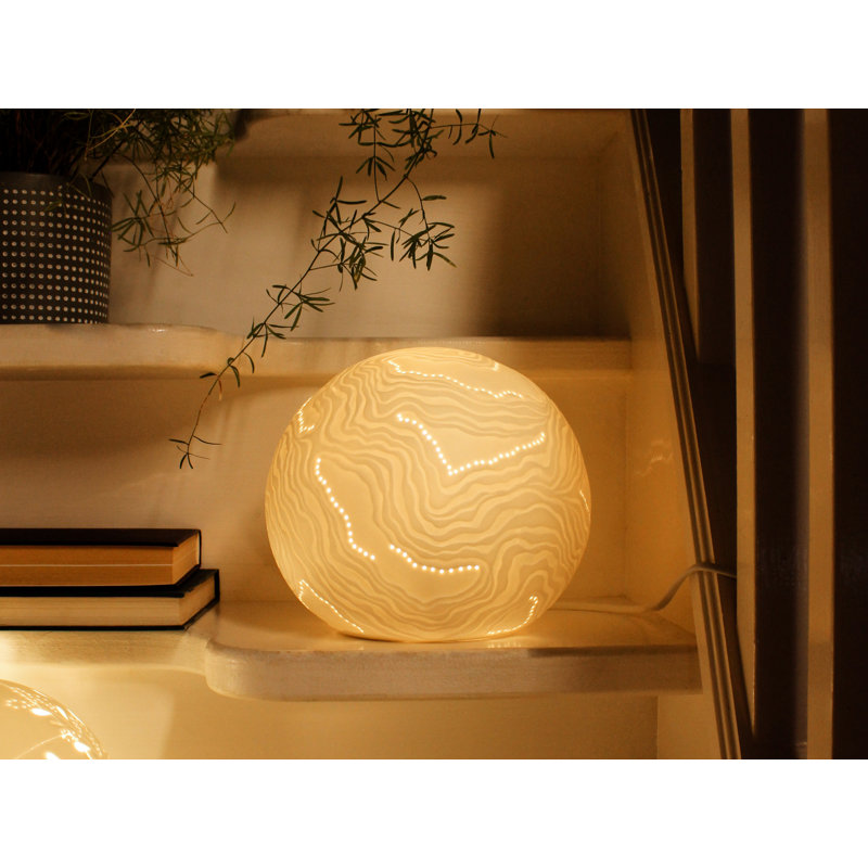 Baryn Novelty Lamp