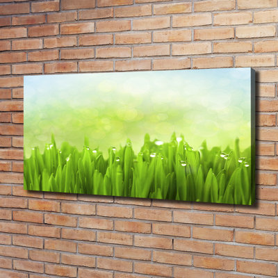 Grass - No Frame Print on Canvas