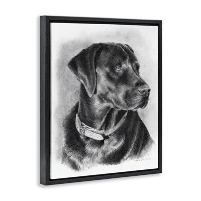 Black Lab Drawing Framed Floater Canvas Wall Art by Victoria Schultz