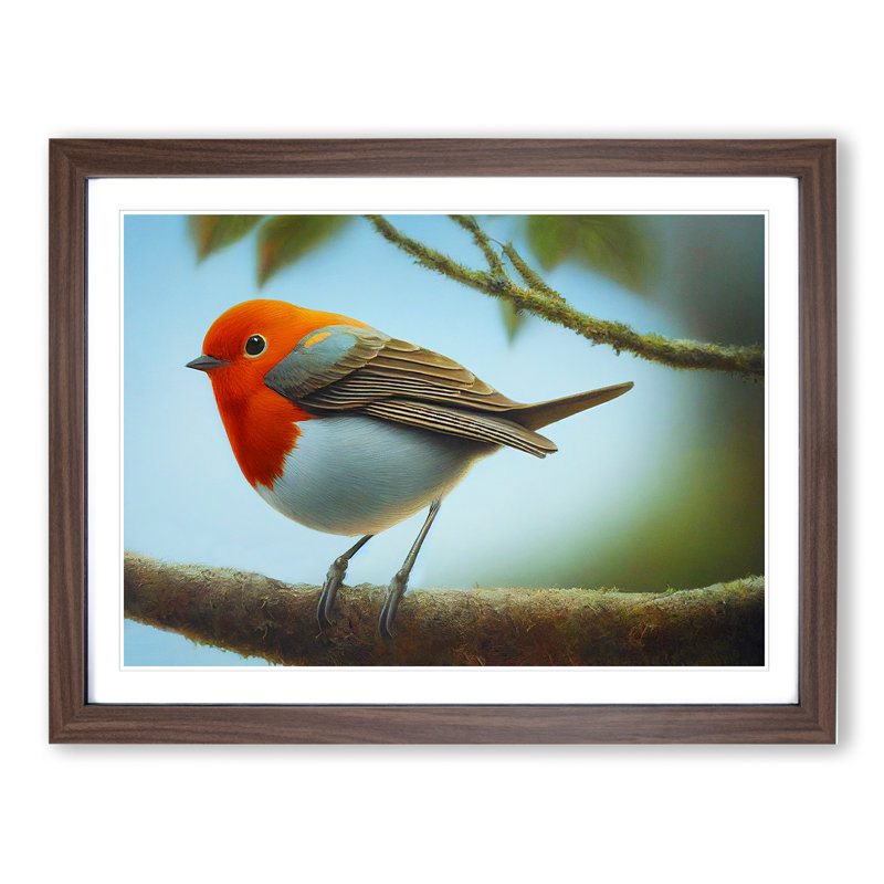 Wonderful Robin Bird - Single Picture Frame Painting, 25cm H x 34cm W x 2cm D, Walnut