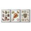 Collection de coquillages VI - Toile tendue avec châssis sur mesure - 3 pièces-298649442-298649441