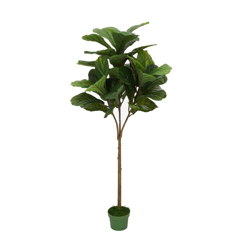 Figuier à feuilles artificielle en pot, H 50 po x l 22 po x p 22 po