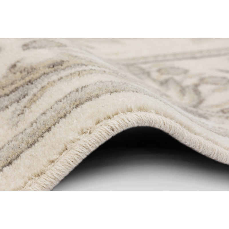 Louis Oriental Area Rug, Rectangle 200 x 280cm