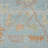 Bordered Floral Durable Performance Indoor/Outdoor Area Rug-1269608769