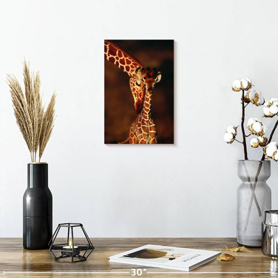 «Brampt Giraffes Gentle Moment»