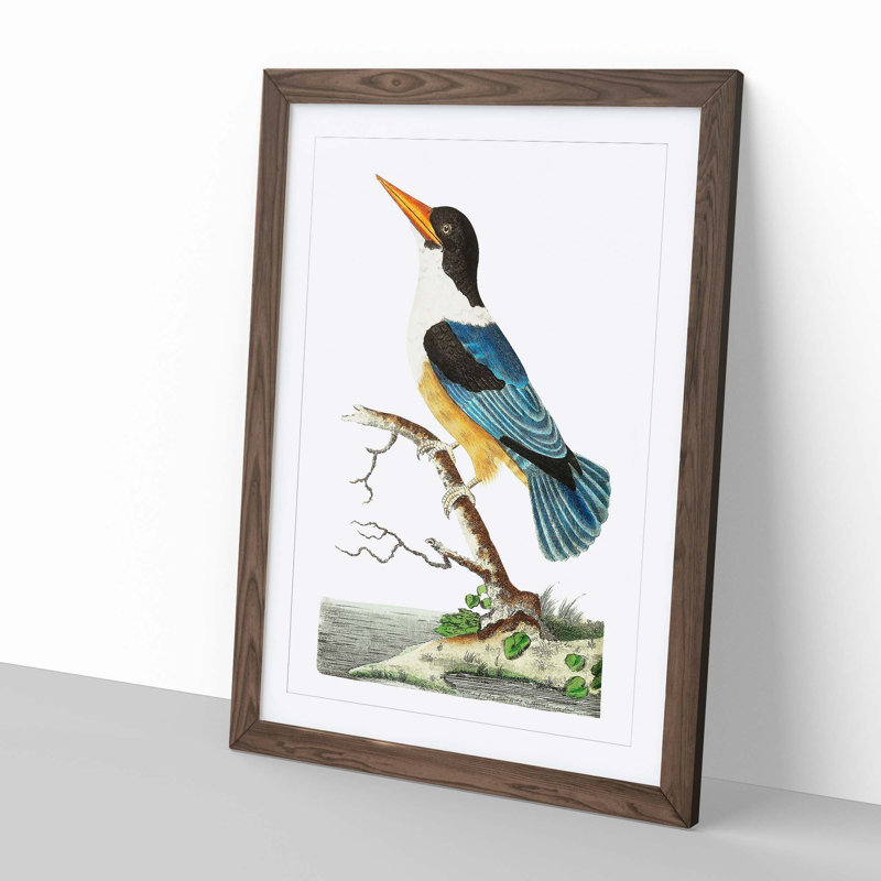 Blue Kingfisher by George Shaw - Picture Frame Painting, 60cm H x 40cm W x 2cm D, Walnut