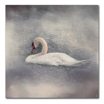 Vidur 'Swan Storm' Graphic Art Print on Wrapped Canvas