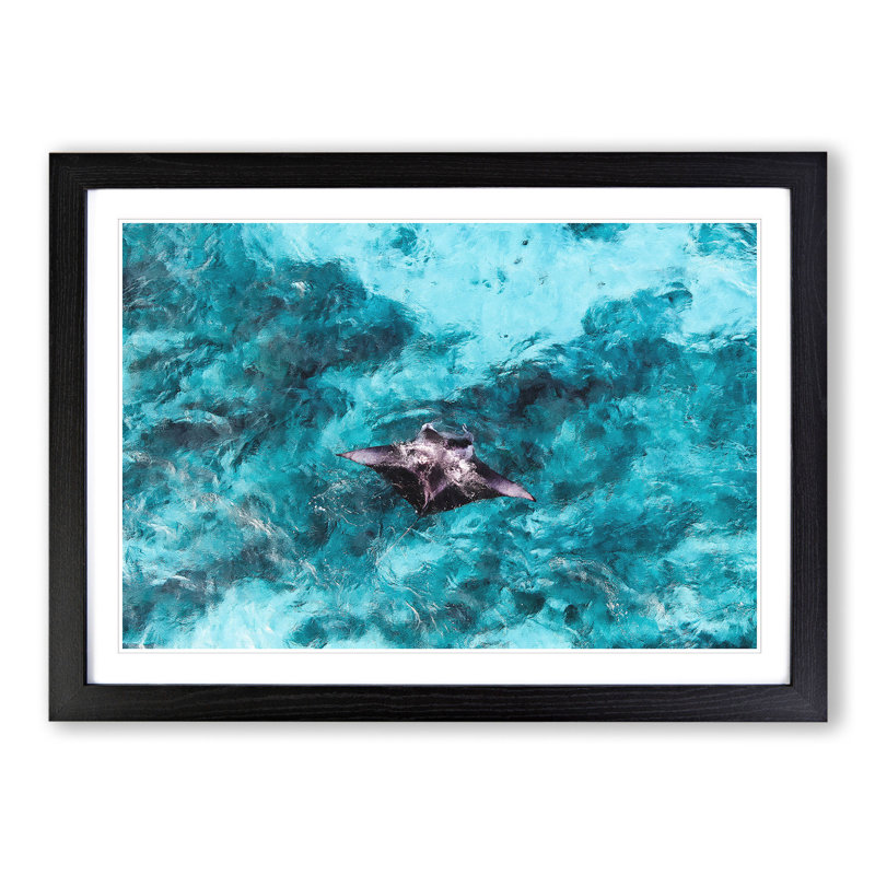 Manta Ray - Picture Frame Painting, Black Framed, 36cm H x 48cm W x 2cm D