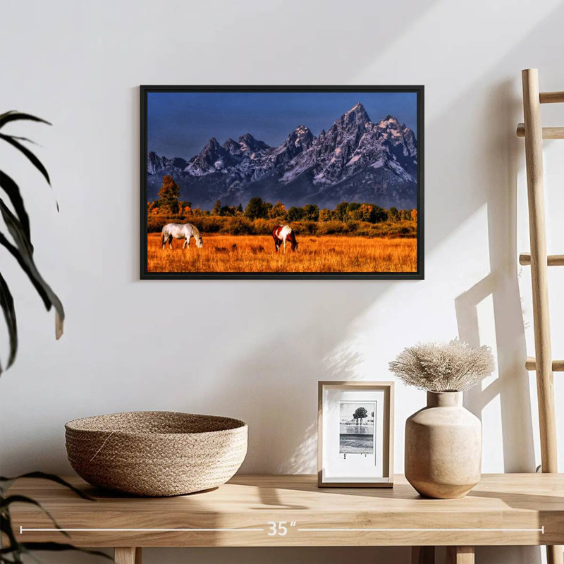 Chevaux paissant à Grand Teton, 19 po x 13 po, Cadre flottant noir