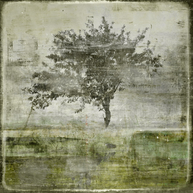 Early Winter IV Print, Plexglas, 24" H x 24" W