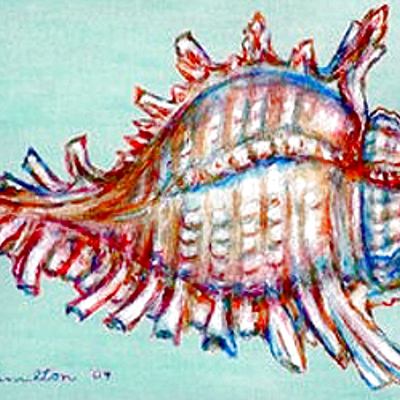 Housse et insert de coussin extérieur Conch