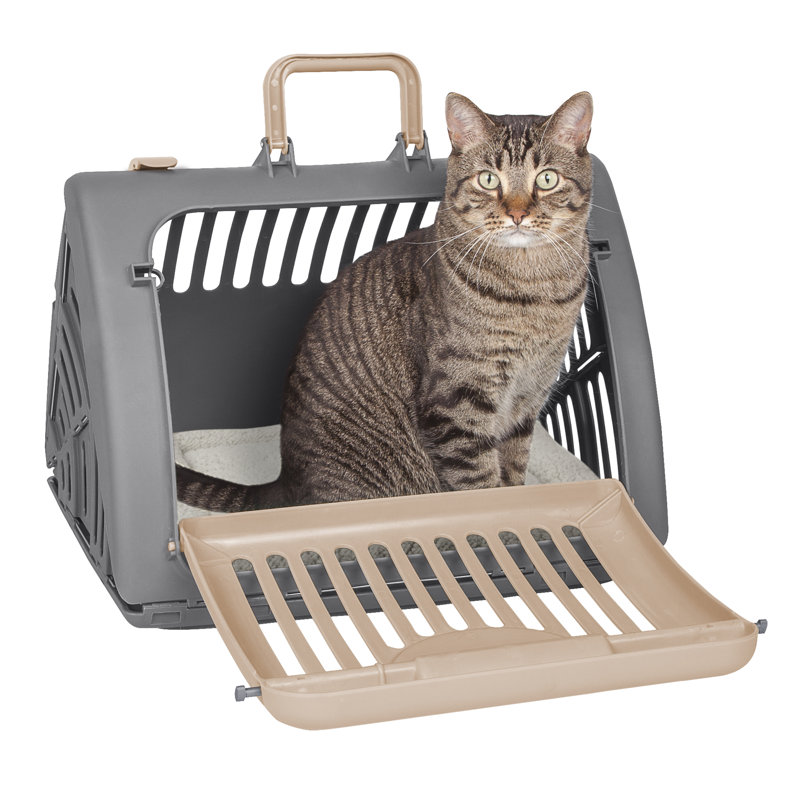 Plastic Collapsible Pet Carrier with 1 Door, Gray/Beige