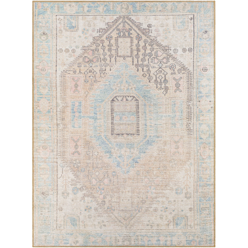 Chavarria Oriental Aqua/Beige/Pink Area Rug, Rectangle 7'6" x 9'6"