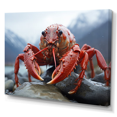 " Crayfish Monochrome Landscape Photography I "