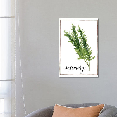 Watercolour Herbs V by Grace Popp - Wrapped Canvas Print