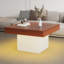 Sohna Coffee Table with Storage