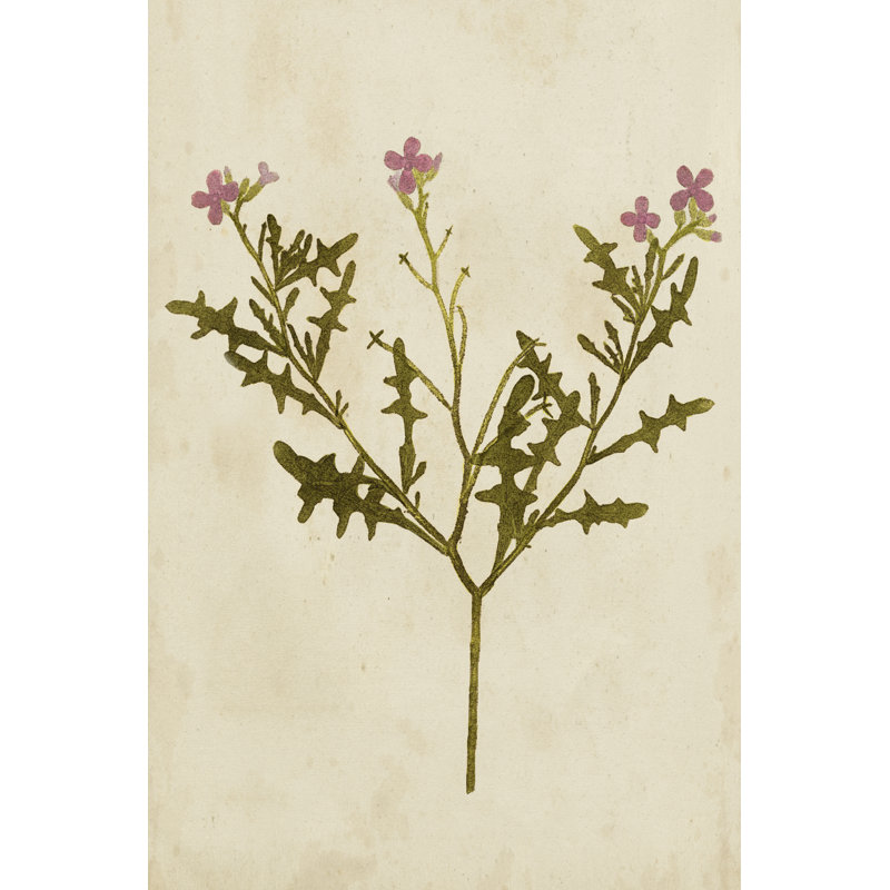 Botanical Impression VI - Painting Print on Canvas, 122cm H x 81cm W, Black Floater Framed