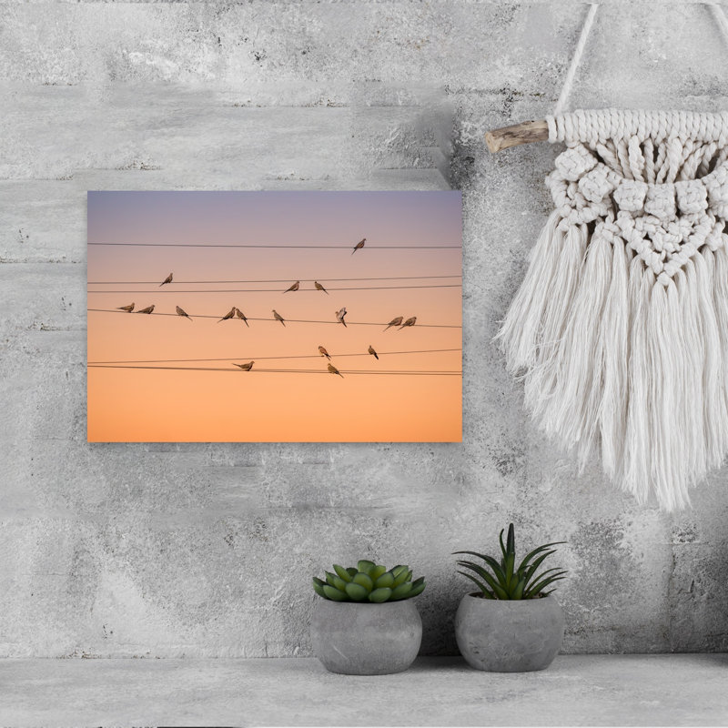 Peaceful Doves Golden Hour Colorful Peaceful Tranquil Bird Nature Sunset Wall Art Print 1 Piece Wrapped Canvas Wall Art