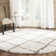 Darrold Shag Performance Geometric Rug