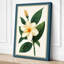 Magnolia Botanical - Wrapped Canvas-1671804167-1671804217