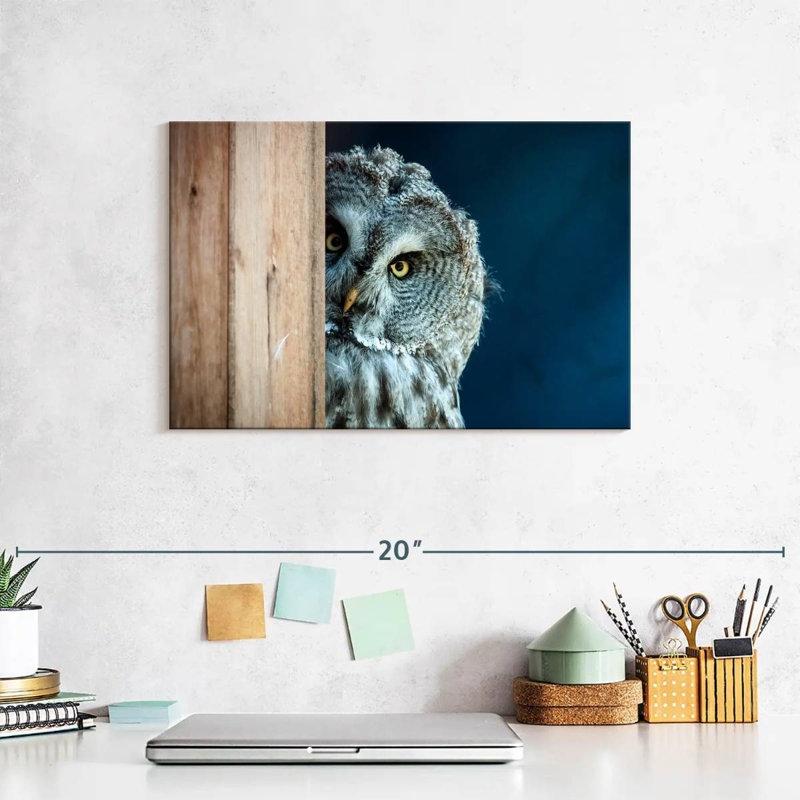 " Peeking Owl ", 8" H x 12" W x 1" D