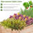 Rectangle Wood  Planter Raised Bed-227095613