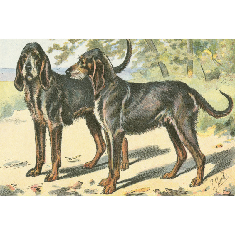 Mans Best Friend XI - Wrapped Canvas Print, 30cm H x 46cm W x 3.8cm D