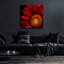 "Red Gerbera On Black 02" par Tom Quartermaine-1008111174