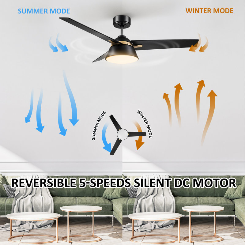 Nikkei 48'' Ceiling Fan with LED Lights, Black