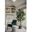 Faux ficus en pot-1915798491