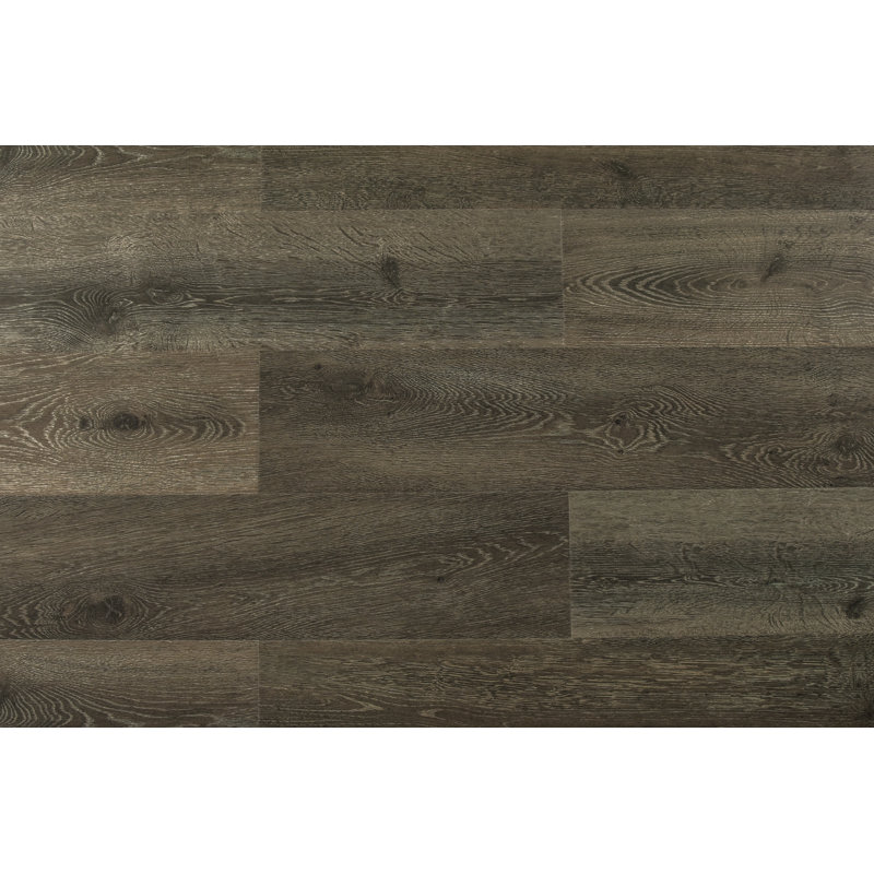 Plancher stratifié en chêne 8 po x 73 po x 12 mm Augustus, Ambre bitume