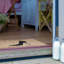 Clinard Non-Slip Outdoor Doormat