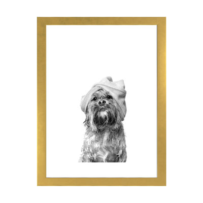 «Wet Dog, Joey, Black and White» par Sophie Gamand - reproduction de photo