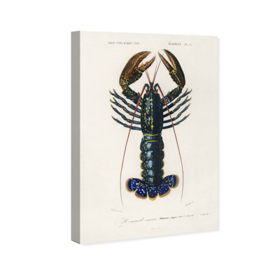 " Animals Crimson Crawfish " by Charles Dessalines Painting Print