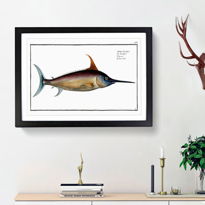 Swordfish - Picture Frame Art Prints