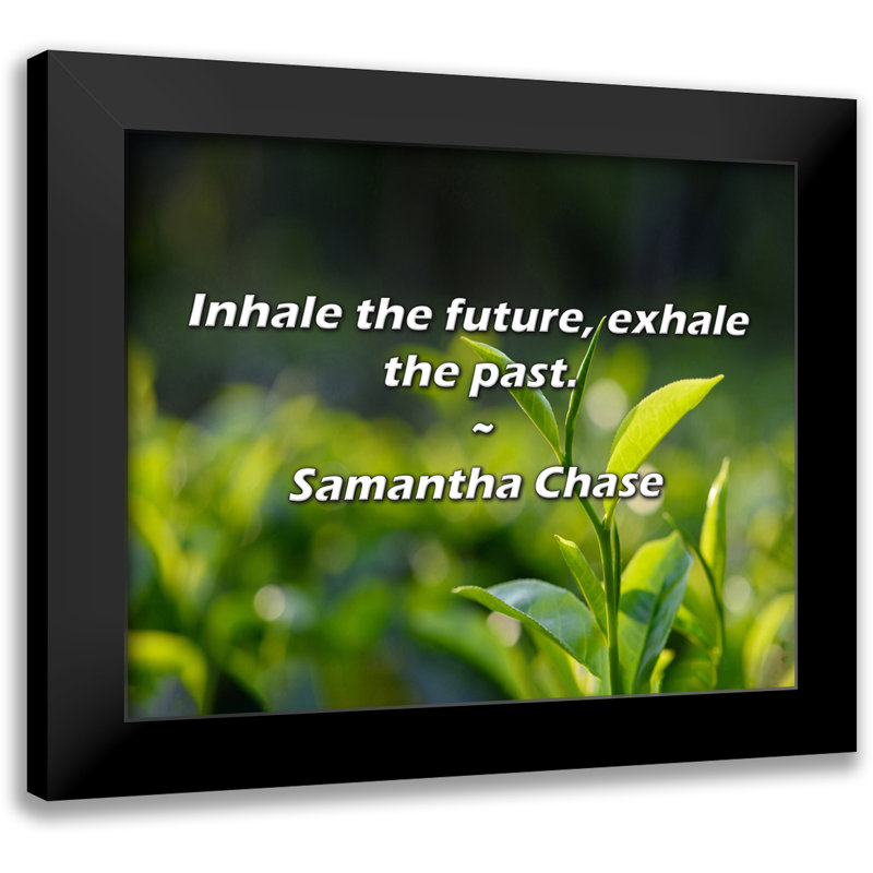 Citation de Samantha Chase: Inspirez le futur, expirez le passé.