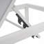 Ensemble de 2 chaises longues d'extérieur réglables en aluminium pour patio-1049351875