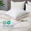 Oreillers en duvet d'oie 100% coton biologique-1835365664