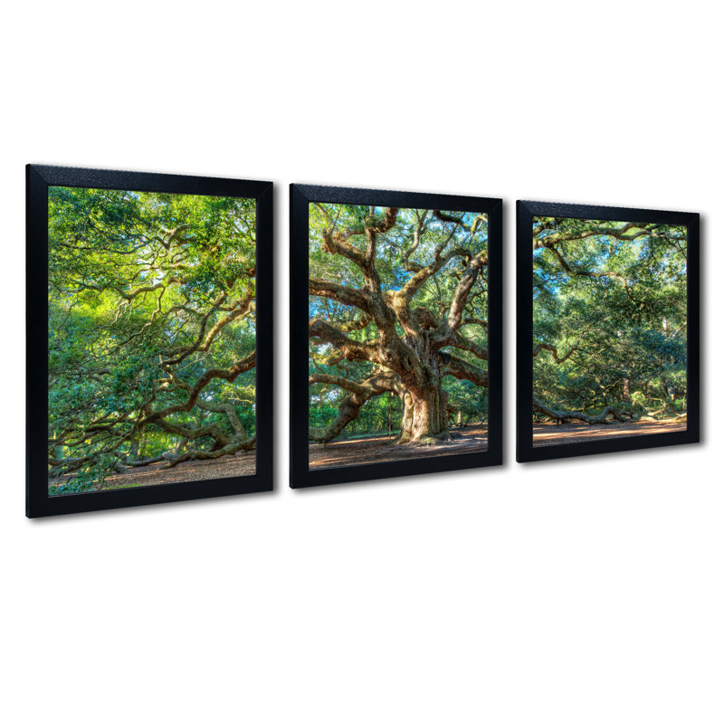 « ange oak charleston », ensemble de 3 reproductions de photos encadrées sur toile